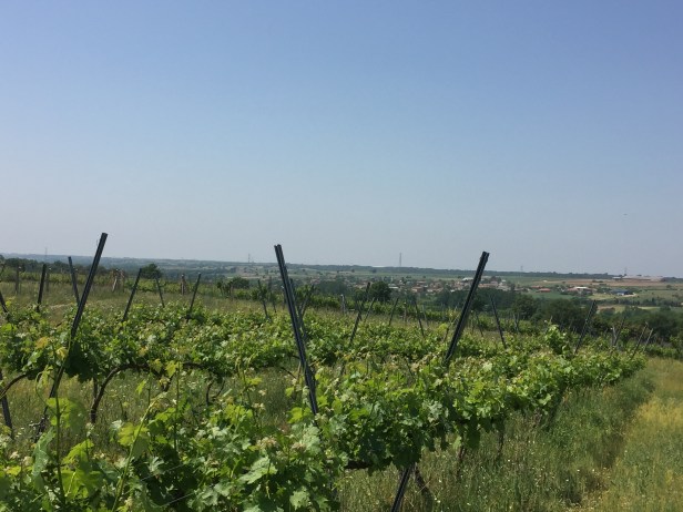 51432992-E2CC-4E45-8AEA-96F6018299C6