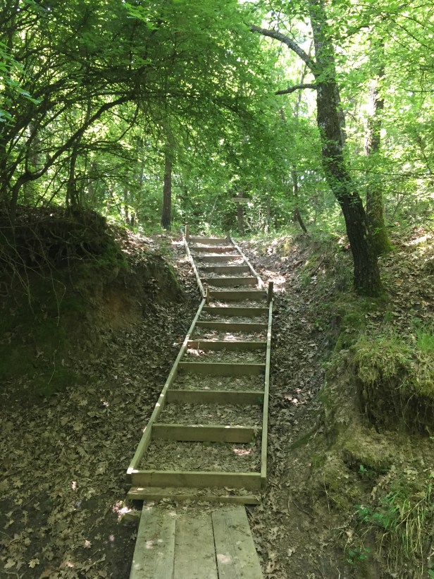 C2D233FD-975F-4E71-8DAB-5E9134A95A92